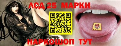 гашик Кандалакша