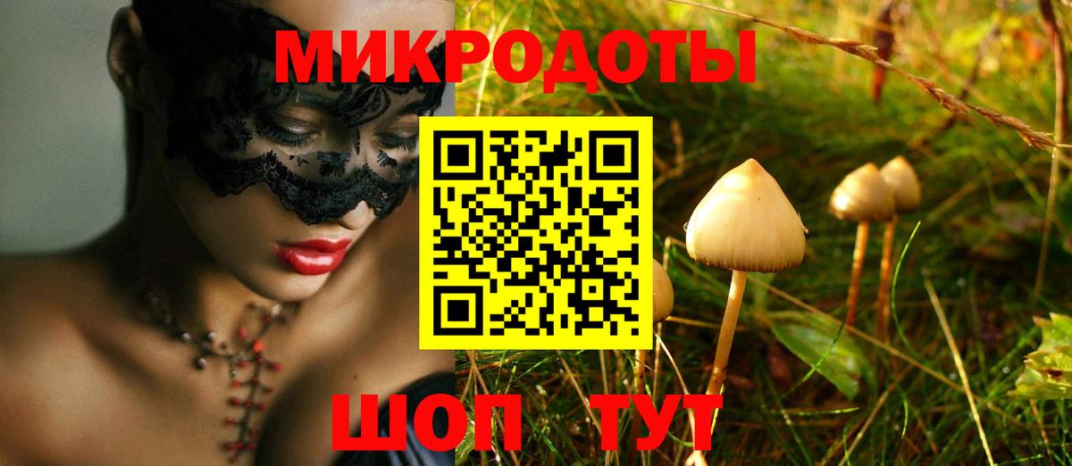 Псилоцибиновые грибы Psilocybe  купить наркотики сайты  Электрогорск  Вход с VPN 